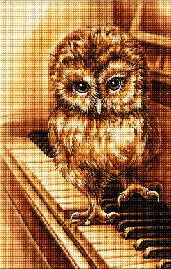 Diamond Painting einer kleinen braunen Eule, die auf den Tasten eines Klaviers steht.  Mockup.