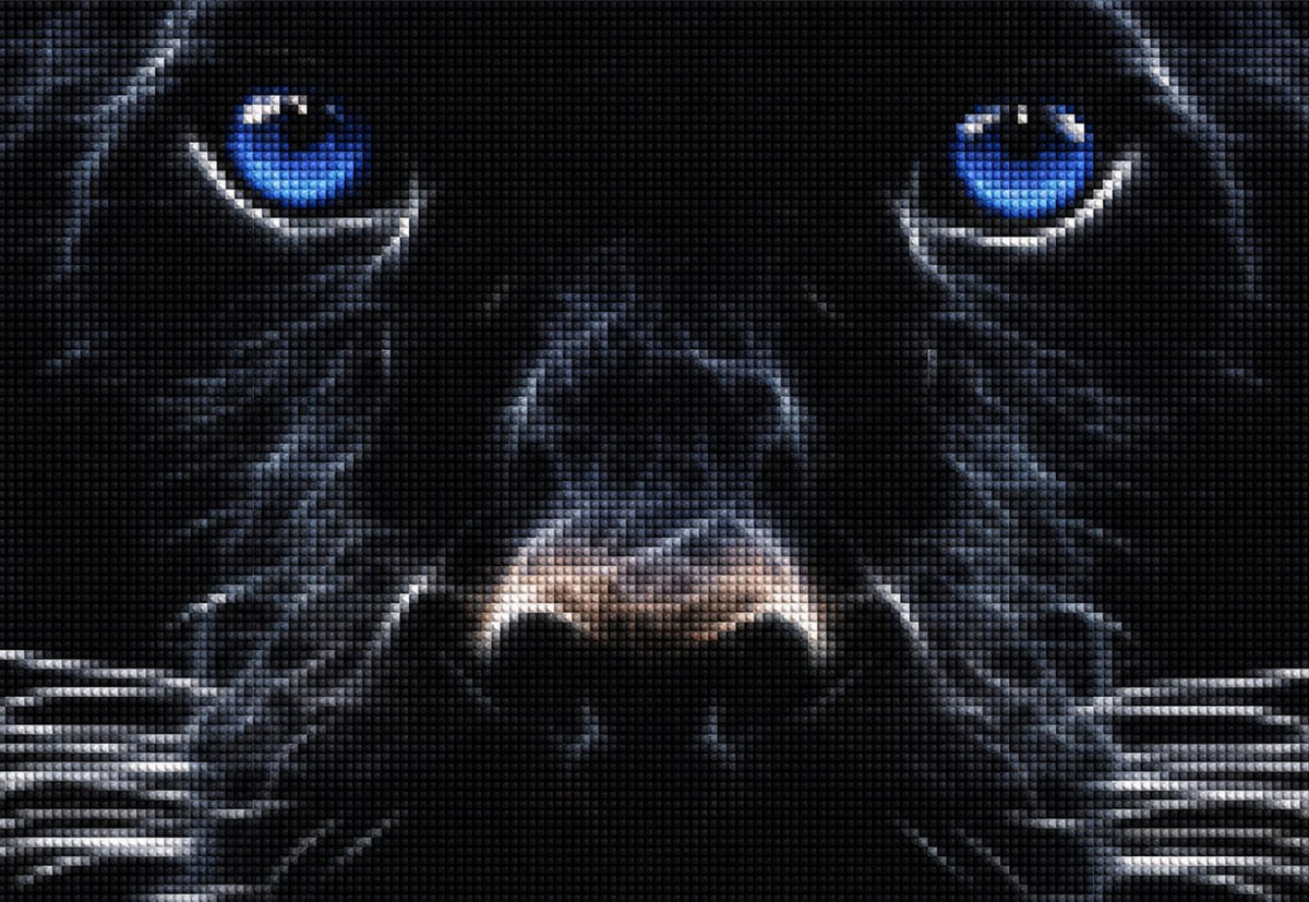 Diamond Painting Hund mit leuchtend blauen Augen und dunklem Fell.
Mockup.